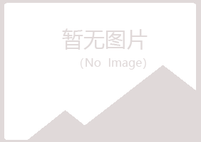 鹤岗兴山迎夏咨询有限公司